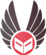 Custom Logo