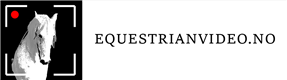 Custom Logo