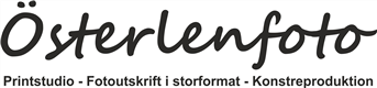 Custom Logo