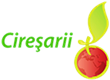 Custom Logo
