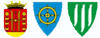 Custom Logo