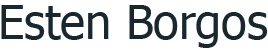 Custom Logo