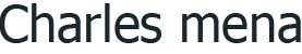 Custom Logo