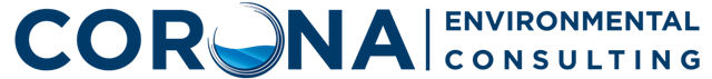 Custom Logo