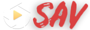 Custom Logo