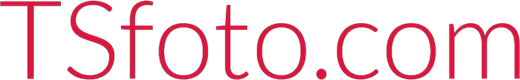 Custom Logo
