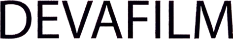 Custom Logo