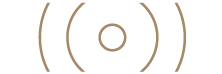Custom Logo