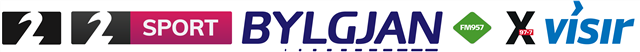 Custom Logo