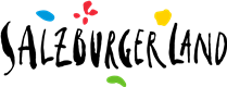 Custom Logo