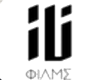 Custom Logo
