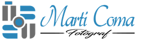 Custom Logo