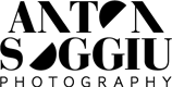 Custom Logo