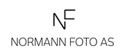 Custom Logo