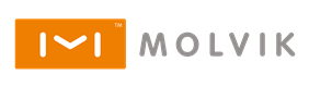 Custom Logo